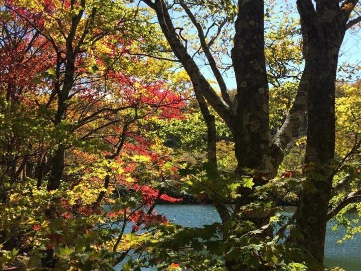 Forest Inn Sangoro Ямагата Экстерьер фото